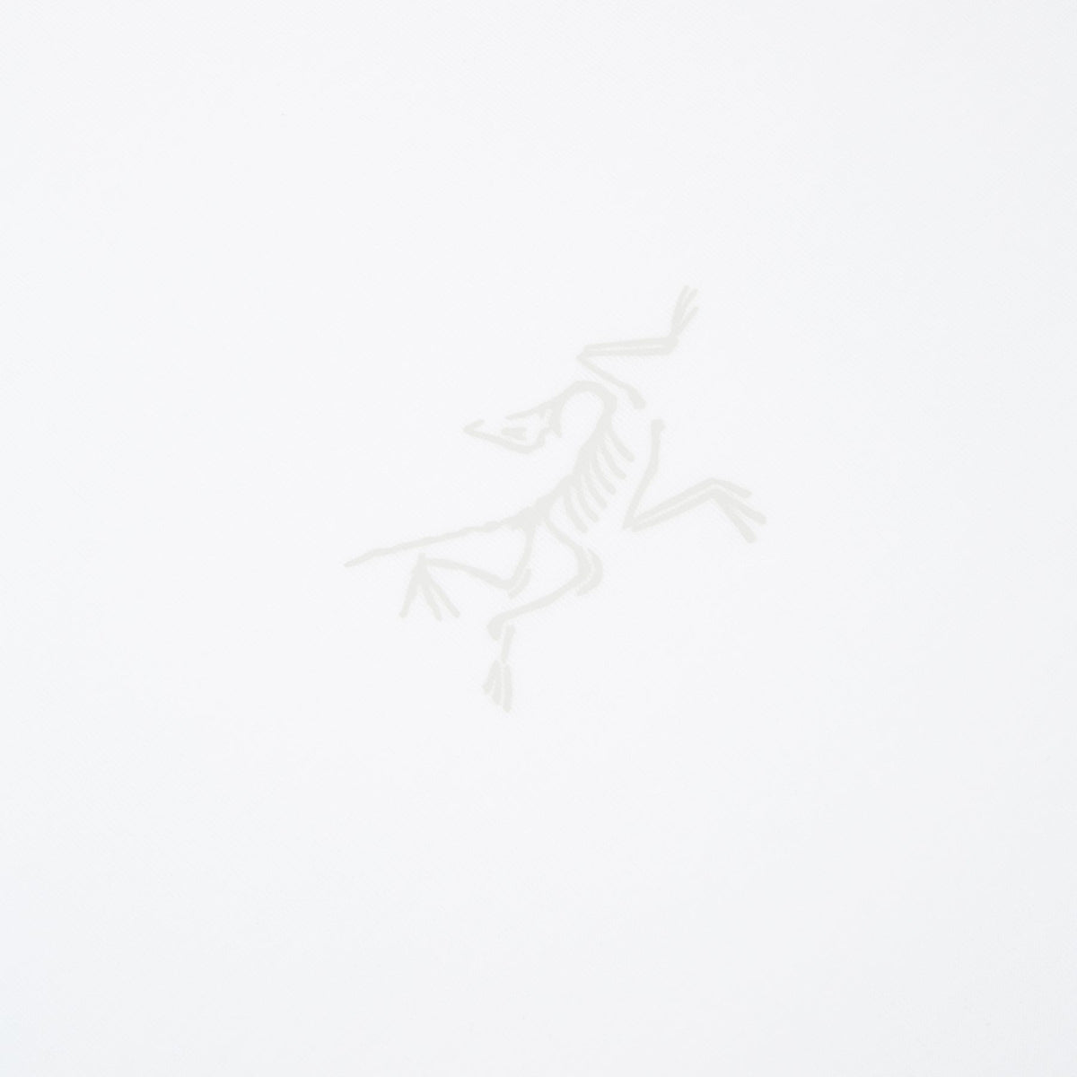 Arc'teryx Kragg SL Cotton SS M (White Light)